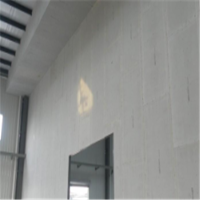 广东宁波ALC板|EPS加气板隔墙与混凝土整浇联接的实验研讨